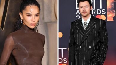 Harry Styles and Zoe Kravitz Relationship 1024x683 1