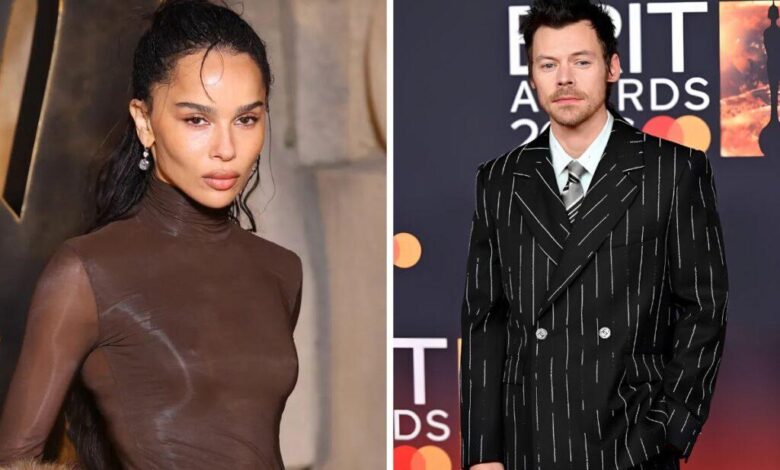 Harry Styles and Zoe Kravitz Relationship 1024x683 1